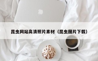 重庆昆虫网站高清照片素材（昆虫图片下载）